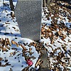 Лисецкий Анатолий Владимирович