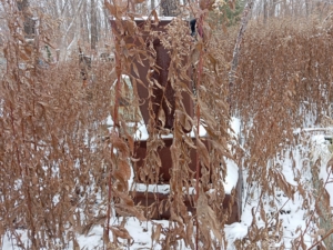 Неизвестно Неизвестно Неизвестно