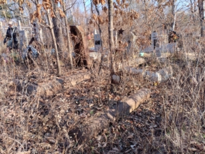 0bd36b0d-59be-4210-886f-7bac2c53f4aa Лебедев Матвей Яковлевич
