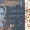 Пригор Анатолий Григорьевич