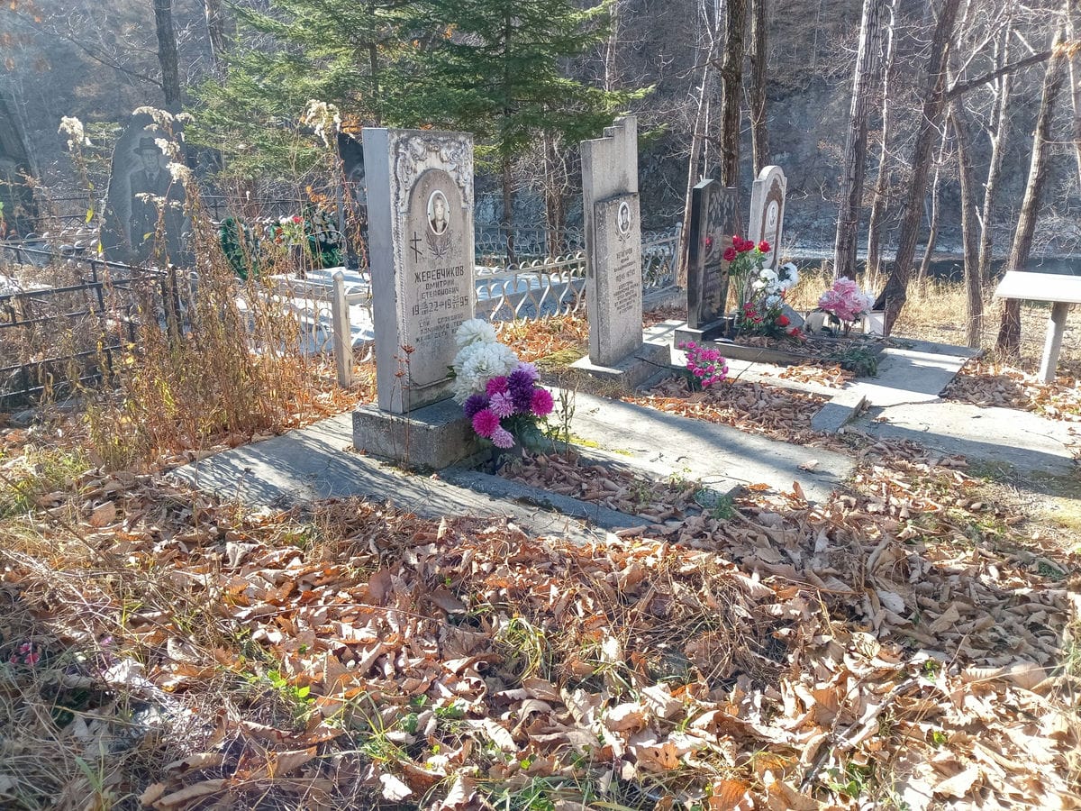 0c91c69b-bffd-4466-afac-121e07fa7cb0 Жеребчиков Александр Дмитриевич