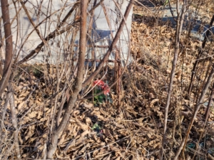 Неизвестно Неизвестно Неизвестно