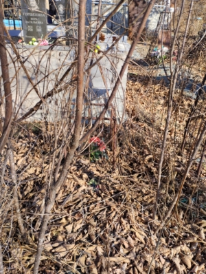 Неизвестно Неизвестно Неизвестно