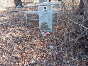 Красилов Юрий Сергеевич