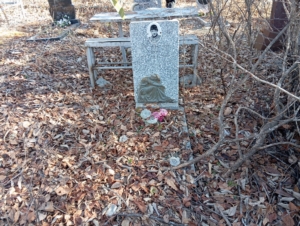 Красилов Юрий Сергеевич