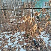 Неизвестно Неизвестно Неизвестно