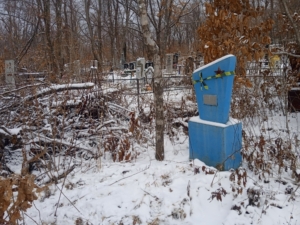 Боровик Александра Ильинична