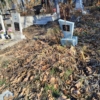 Бакунова Юлия Петровна