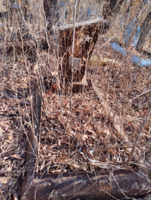 Печонкин Виктор Сергеевич