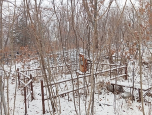 Павлюк Светлана Анатольевна