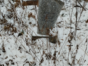 Стукалов Юрий Михайлович