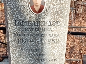 0da5ee12-3d7b-4c78-a90a-1bd85eb46f3c Гамбашидзе Екатерина Константиновна