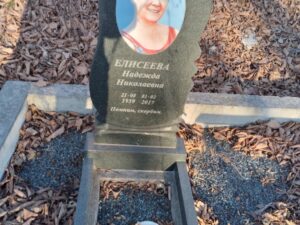 Елисеевна Надежда Николаевна