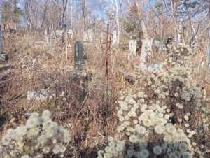 Пантюхина Анна Васильевна