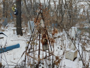 0e50ec82-3a19-440e-950b-69f2ac71ac9e Шупыро Евхимия Николаевна