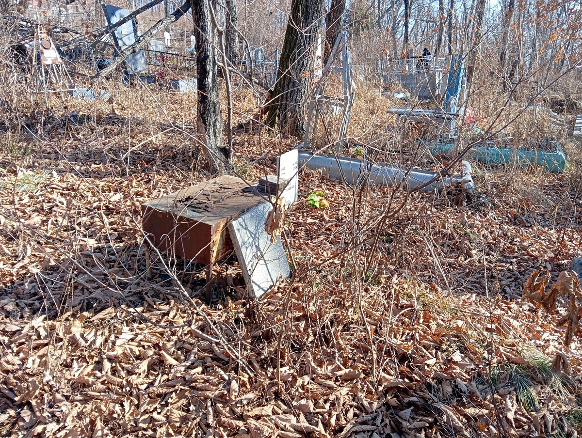 0e5203aa-ce0c-4676-a5f0-5b02ffb639a3 Неизвестно Неизвестно Неизвестно