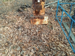 Гайдаржа Сергей Дмитриевич