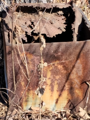 Неизвестно Неизвестно Неизвестно