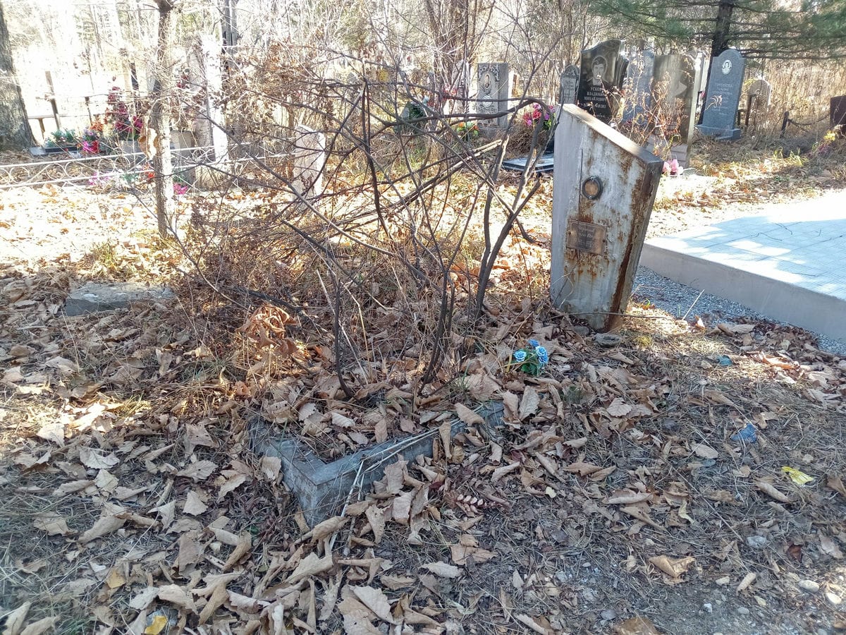 Черненков Виталий Петрович