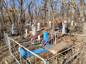 0ed51920-6cc4-4b31-8b95-9150d7615473 Шлегель Сашенька Неизвестно
