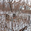 Фролов Василий Николаевич
