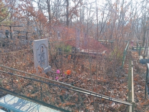 Ярославцева Анастасия Николаевна