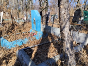 0f3b011c-42c4-4186-8830-076561f8ad61 Федоренко Виктор Григорьевич
