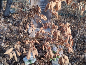 Корольков Василий Петрович