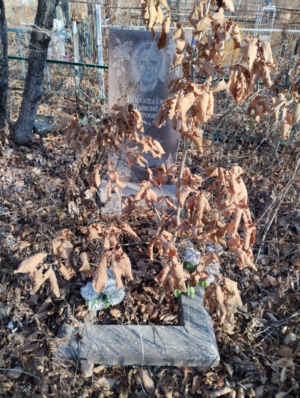 Корольков Василий Петрович