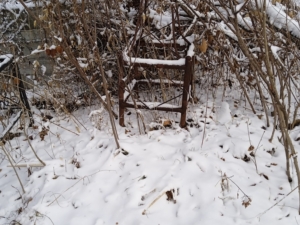 Николаенко Николай Харитонович