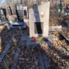 Кобыш Анастасия Павловна