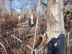 Полуботько Олеся Сергеевна