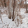 Неизвестно Неизвестно Неизвестно