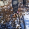 Романчук Анатолий Алексеевич