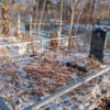 Агаркова Наталья Ивановна