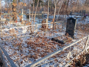 1053367c-a980-4749-90e2-c739acc8c456 Агаркова Наталья Ивановна