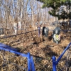 Рогоза Владимир Григорьевич
