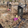Бондаренко Ольга Александровна