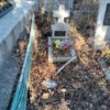 Титков Михаил Семенович
