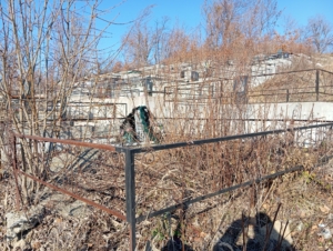113382b4-81be-444d-810f-01b9a561b04d Богатков Виктор Евграфович