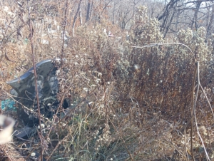 Пантюхина Анна Васильевна