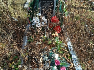 Коростелева Юлия Егоровна