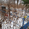 Акишин Александр Юрьевич