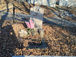 Голуб Варечка Неизвестно