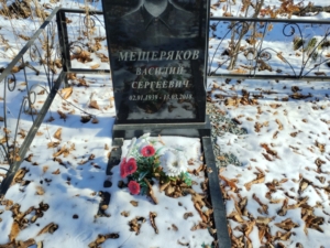 Мещеряков Василий Сергеевич