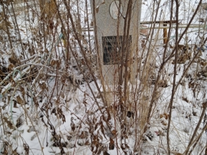 Микитченко Анна Филипповна