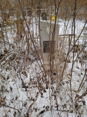 Микитченко Анна Филипповна