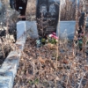 Семенцов Николай Петрович