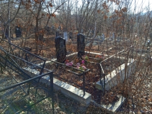 135530c0-e293-48c8-8b95-d5012c25dfa0 Парфенова Мария Александровна