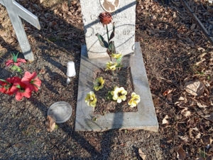 Суставова Анастасия Филипповна